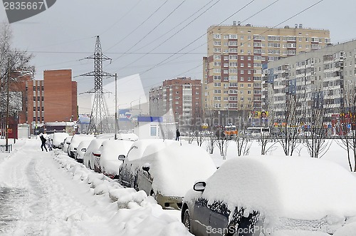 Image of The cars brought by snow stand on a road roadside.