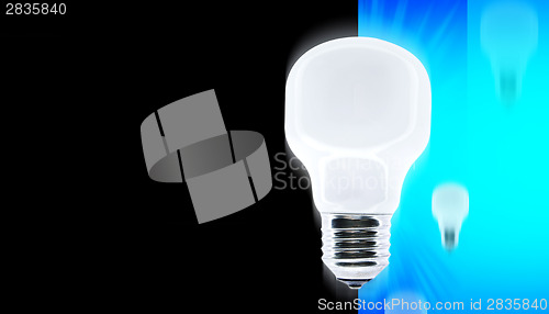 Image of White bulb