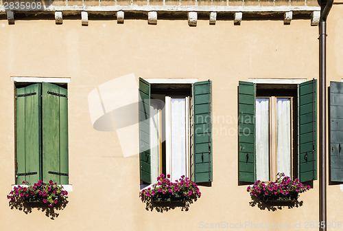 Image of Venetian windows with flowers