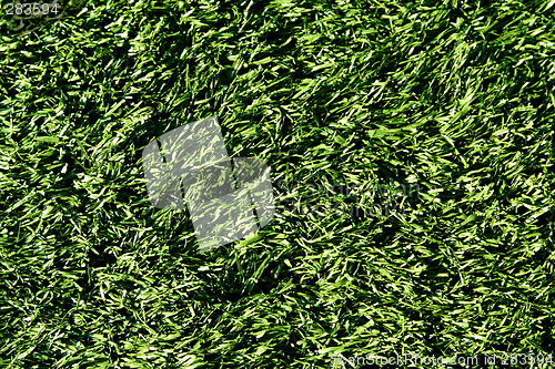 Image of Football field