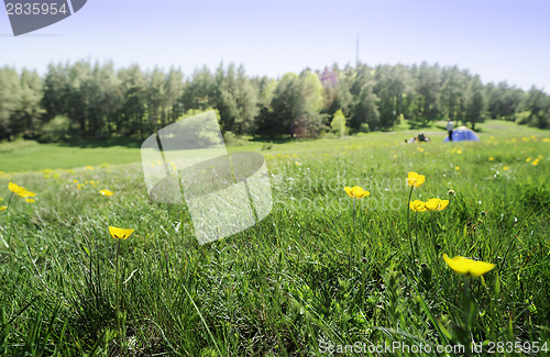 Image of Green meadow in a forest and tent