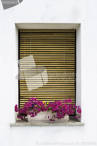 Image of Venetian windows with flowers