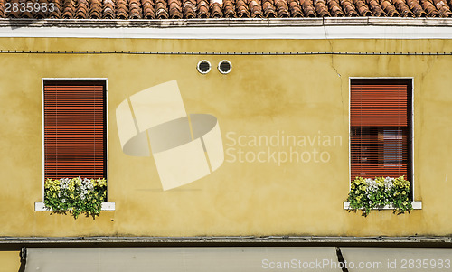 Image of Venetian windows with flowers