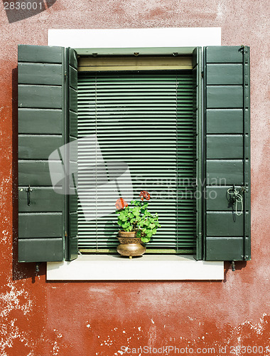 Image of Venetian windows with flowers