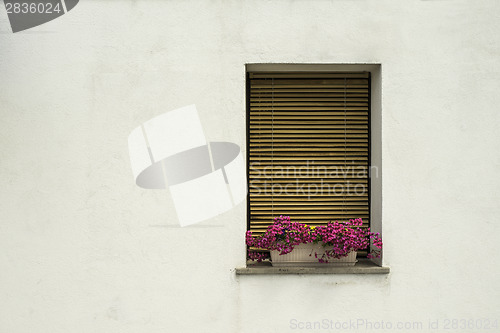Image of Venetian windows with flowers