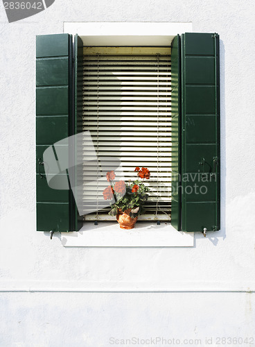 Image of Venetian windows with flowers