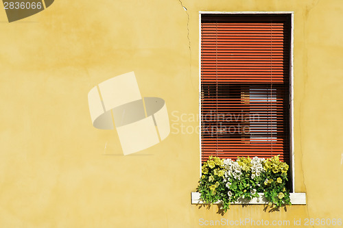 Image of Venetian windows with flowers