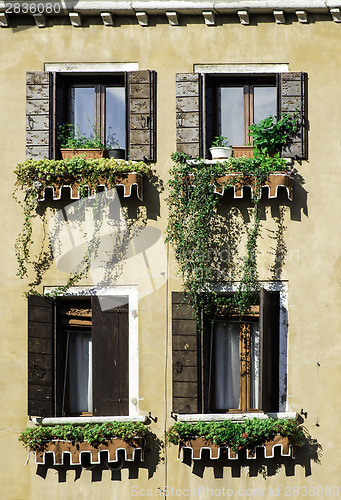 Image of Venetian windows with flowers