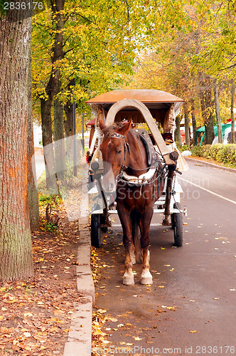 Image of Brown horse-drawn wagon in the autumn alley