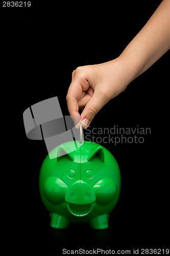 Image of Piggy Bank