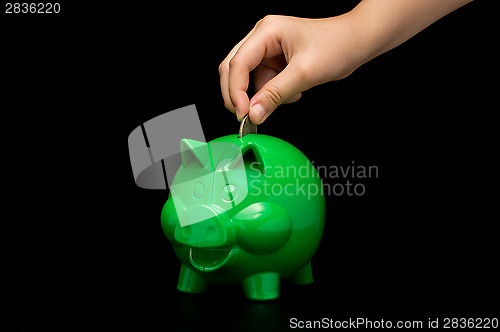 Image of Piggy Bank