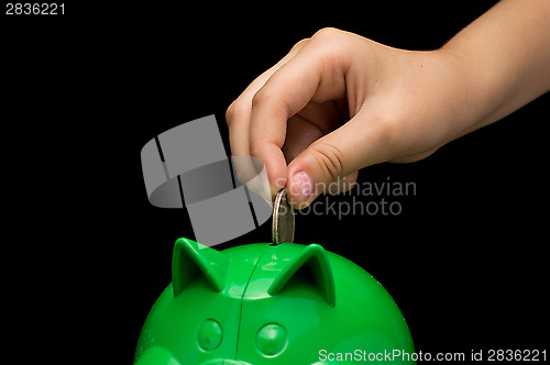 Image of Piggy Bank