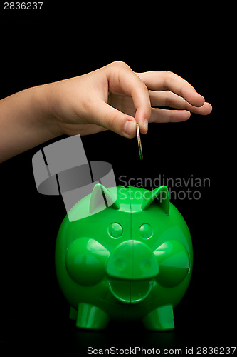 Image of Piggy Bank