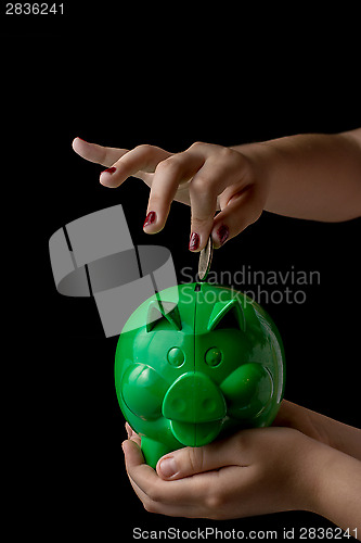 Image of Piggy Bank