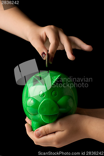 Image of Piggy Bank