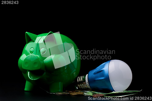 Image of Piggy Bank with LED bulb