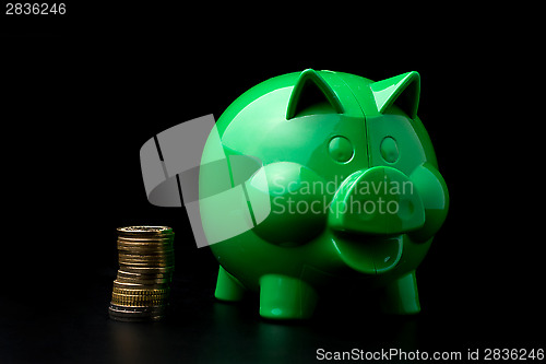 Image of Piggy Bank with money