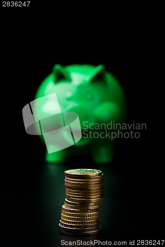 Image of Piggy Bank with money