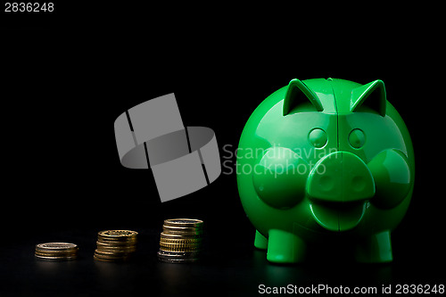 Image of Piggy Bank with money