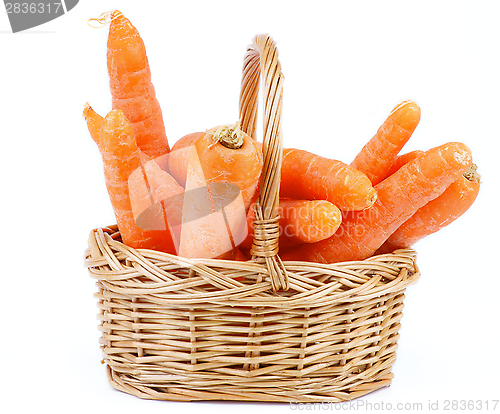 Image of Carrot in Basket