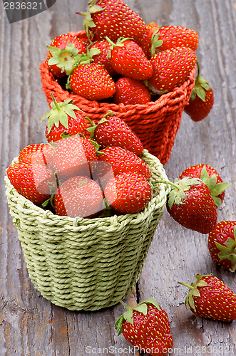 Image of Forest Strawberries