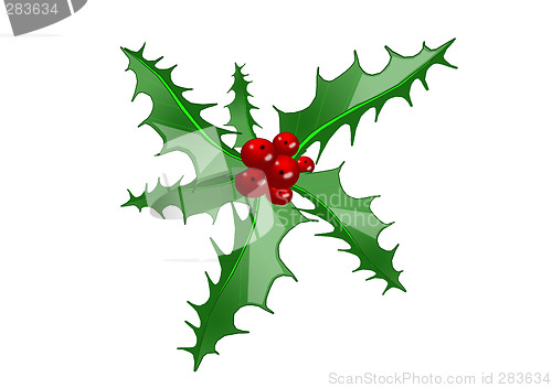 Image of Christmas Holly