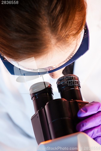 Image of Researcher microscoping.