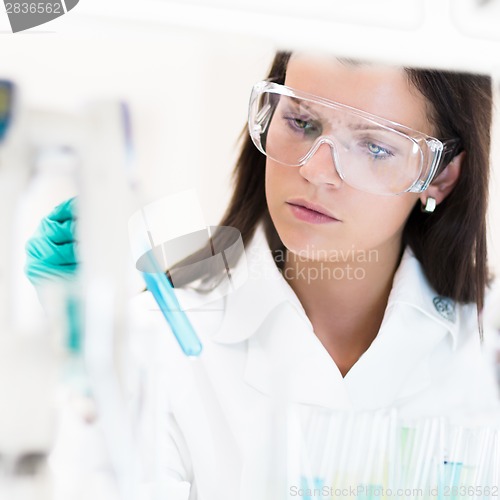 Image of Young chemist in the laboratory.