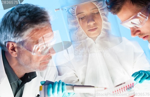 Image of Life scientist pipetting.
