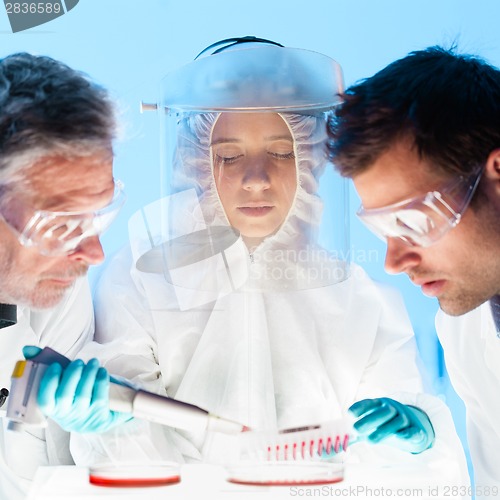 Image of Life scientist pipetting.