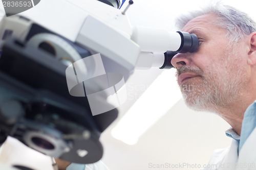 Image of Senior scientist  microscoping in lab.