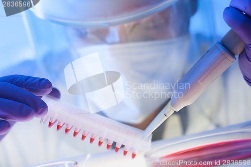 Image of Working in the laboratory with a high degree of protection