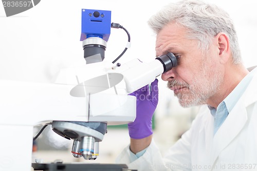 Image of Senior scientist  microscoping in lab.