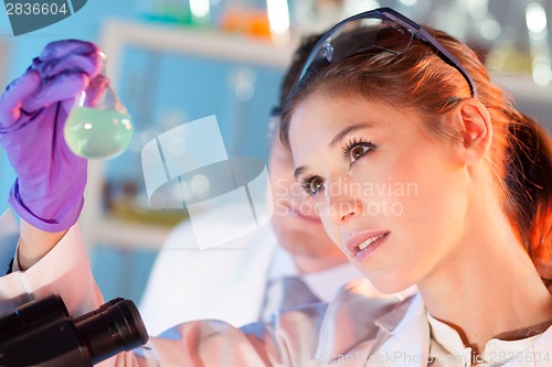 Image of Researcher observing indikator colour shift.