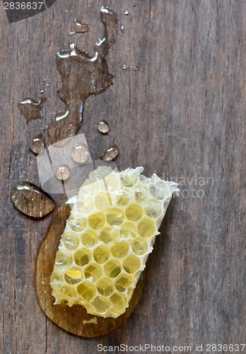 Image of honeycomb