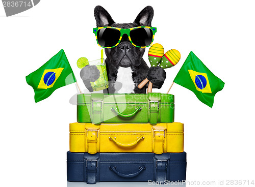 Image of brazilian dog