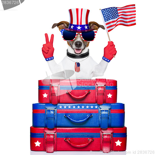 Image of american dog