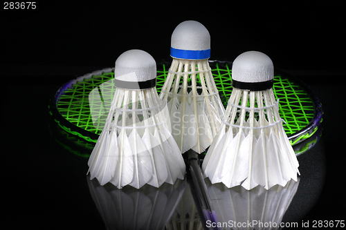 Image of Shuttlecock and badminton