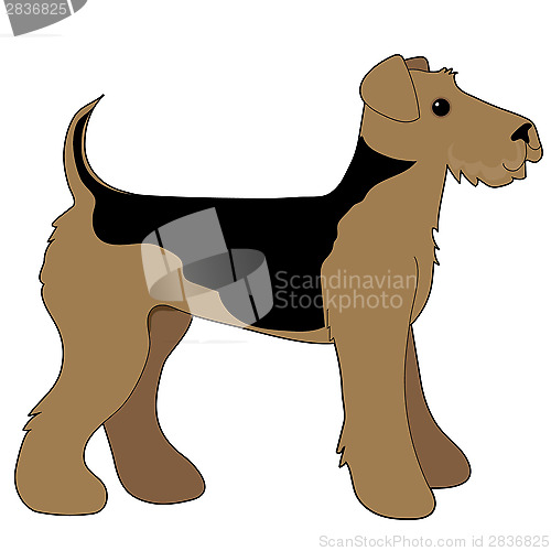 Image of Airedale Terrier