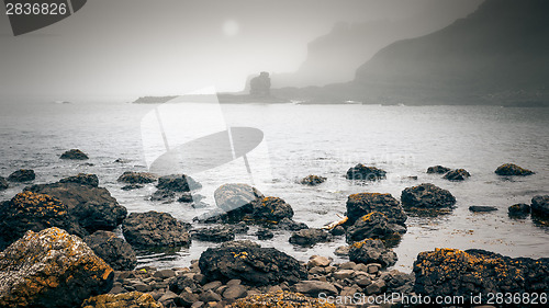 Image of Ireland Coast Fog