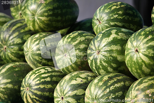 Image of pile of watermelons