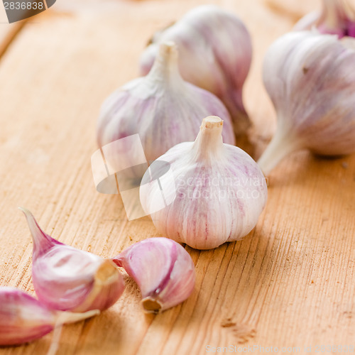 Image of Healthy Organic Garlic Vegetables Whole And Cloves On The Wooden
