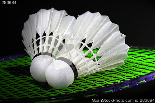 Image of Shuttlecock and badminton