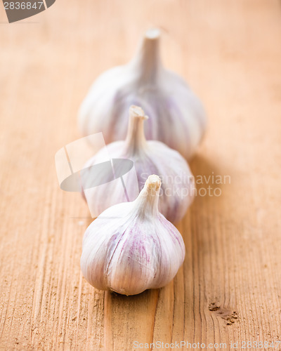 Image of Healthy Organic Garlic Vegetables Whole And Cloves On The Wooden