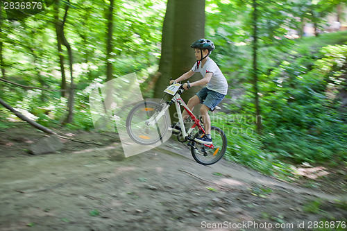 Image of Mountain bike jump