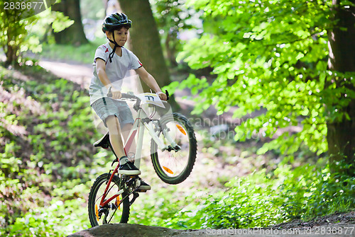 Image of Mountain bike jump