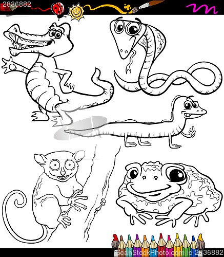 Image of animals set cartoon coloring book