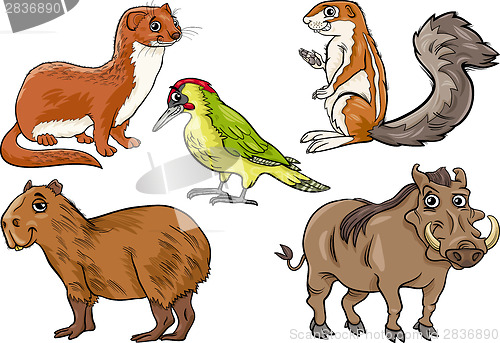 Image of wild animals set cartoon illustration