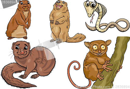 Image of wild animals set cartoon illustration