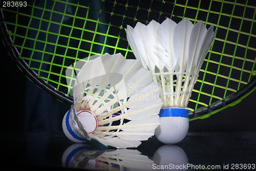 Image of Shuttlecock and badminton